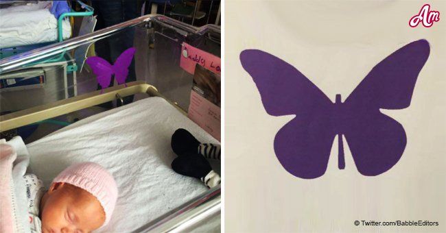 Le sens du papillon violet sur un lit de bébé à l'USIN